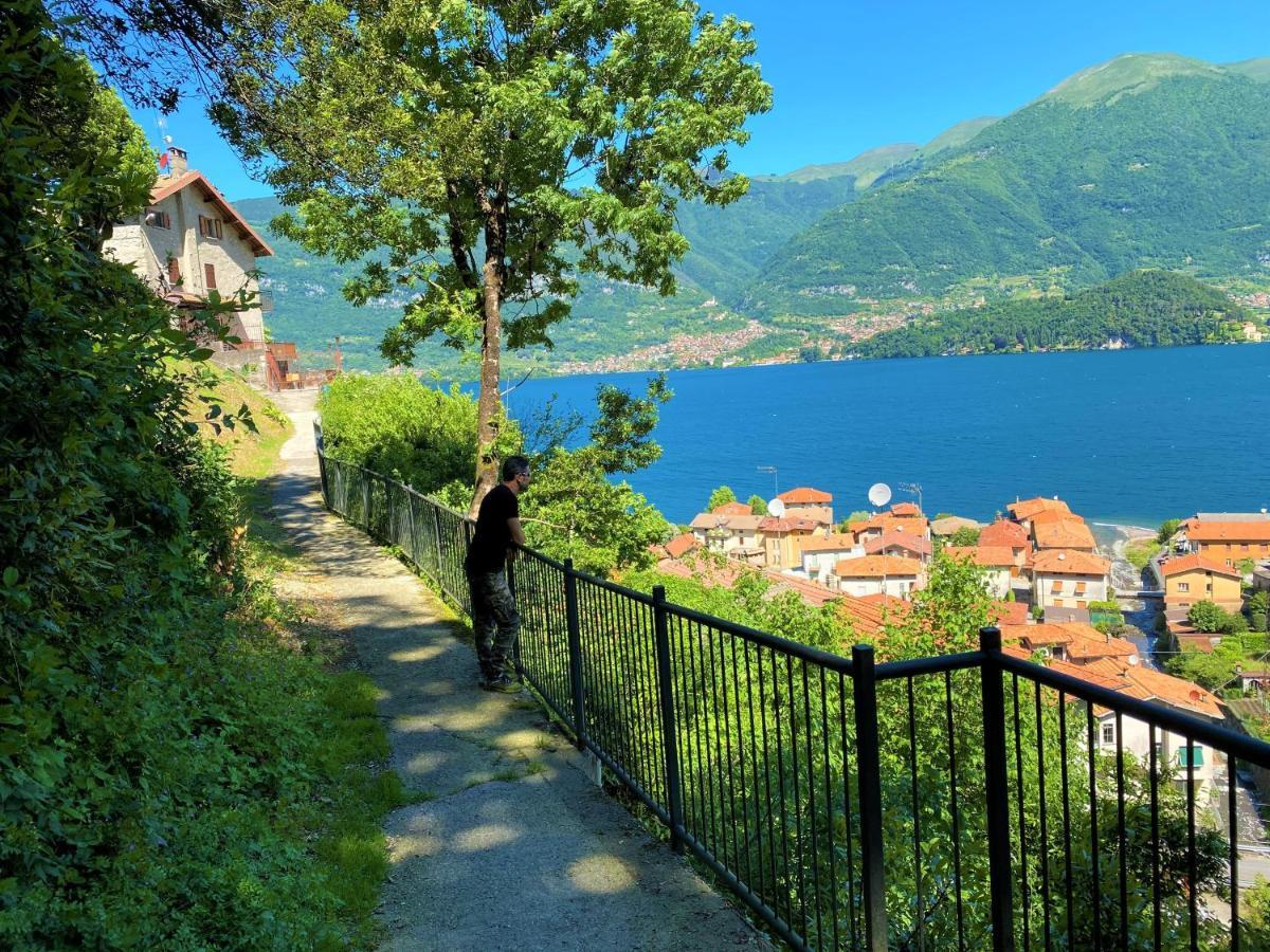 Il Bellavista Apartment Lezzeno Luaran gambar